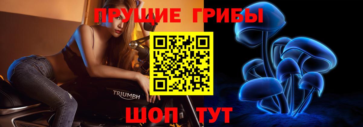 Галлюциногенные грибы ЛСД Кувандык